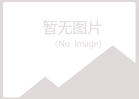 香港夏岚工程有限公司